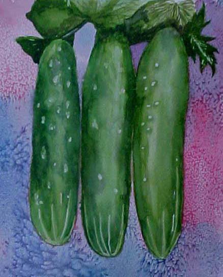 Cucumbers - Bernie Elliott