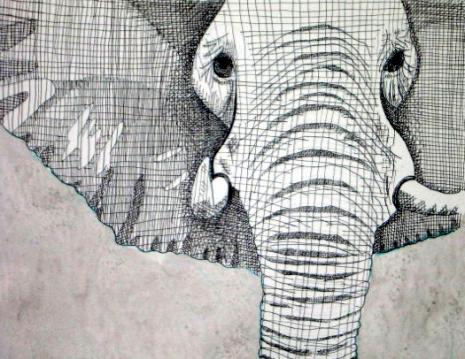 Elephant - Bernie Elliott