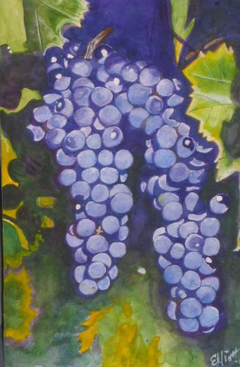 Grapes - Bernie Elliott