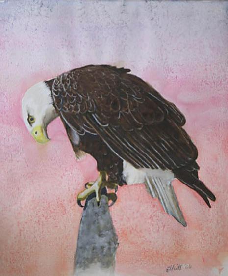 Cry Eagle, Cry - Bernie Elliott