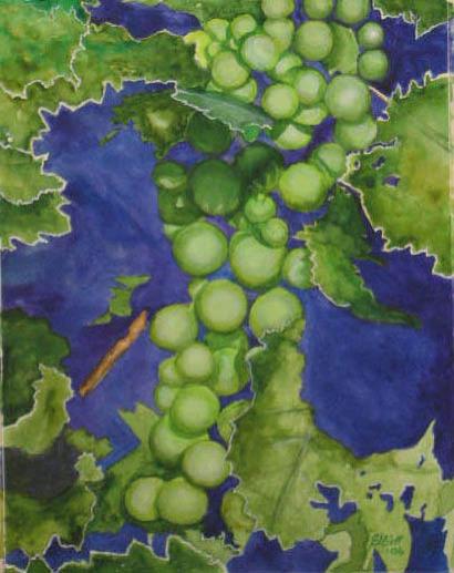 White Grapes - Bernie Elliott