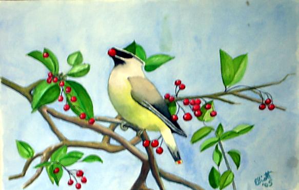 Cedar  Waxwing - Bernie Elliott - Cliquer pour afficher en grand