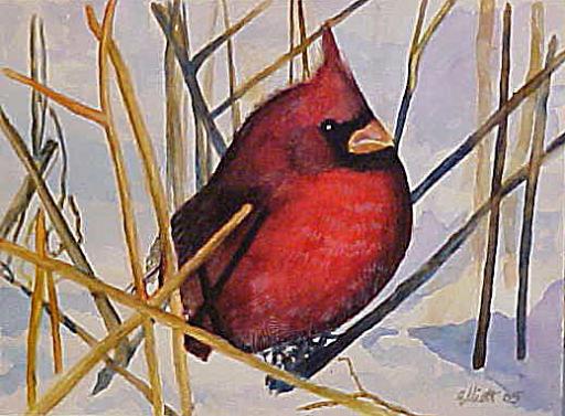 Red & White - Bernie Elliott