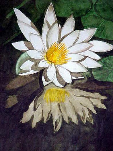 A Water Lilly Shines - Bernie Elliott