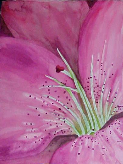 Pink Pink - Bernie Elliott