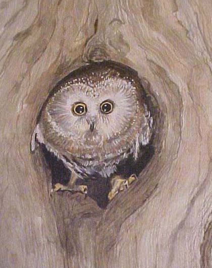 Peek a boo - Bernie Elliott