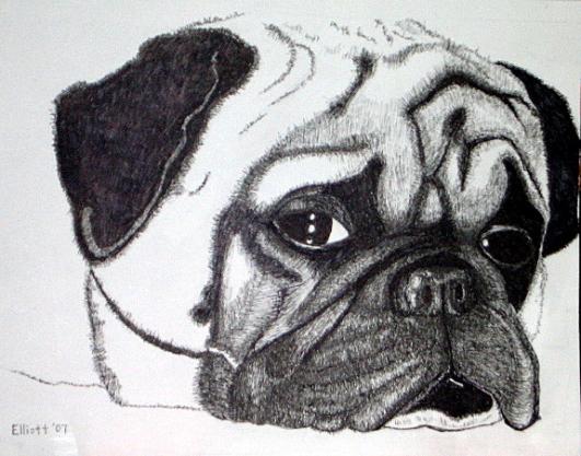 Mr. PugsSleepytime - Bernie Elliott