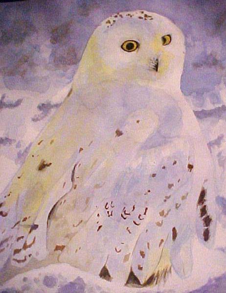 Snow Owl - Bernie Elliott