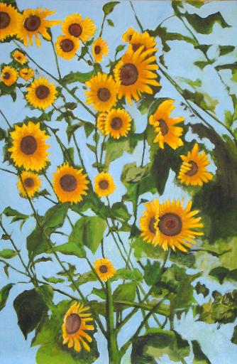 Wild Kansas Sunflowers - Bernie Elliott
