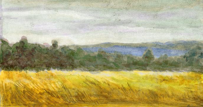 After  the rain - Andrey Epishin - Click to enlarge