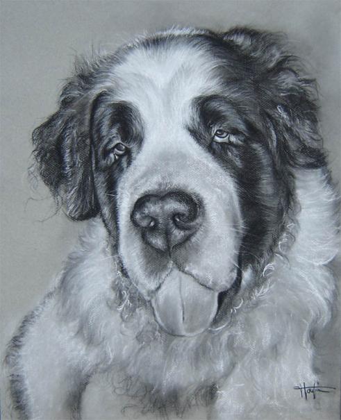 Dog - Michael Wautier