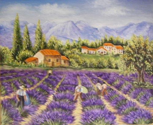 Récolte dans un champ de lavande - Svetlana Guitard