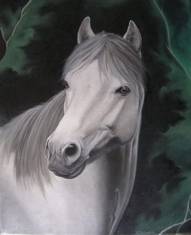 Cheval aux yeux ocre - Virginie Iztueta - Cliquer pour afficher en grand