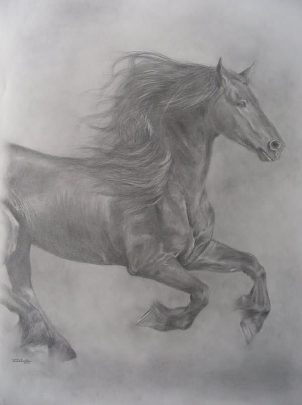 Cheval frison - Virginie Iztueta - Cliquer pour afficher en grand