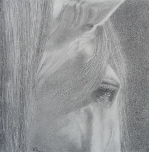 Oeil de cheval - Virginie Iztueta