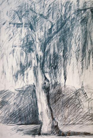 ''Tree'' - Kyriakos Thouki
