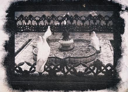 ''Pegions in fountain'' - Kyriakos Thouki