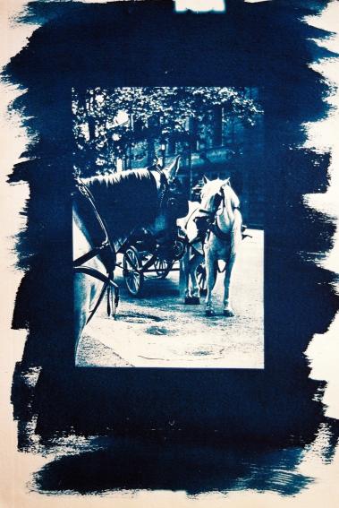 ''Horses'' - Kyriakos Thouki