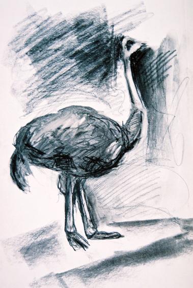 ''Ostrich'' - Kyriakos Thouki