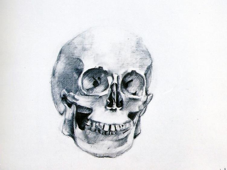 ''Human skull'' - Kyriakos Thouki - Cliquer pour afficher en grand