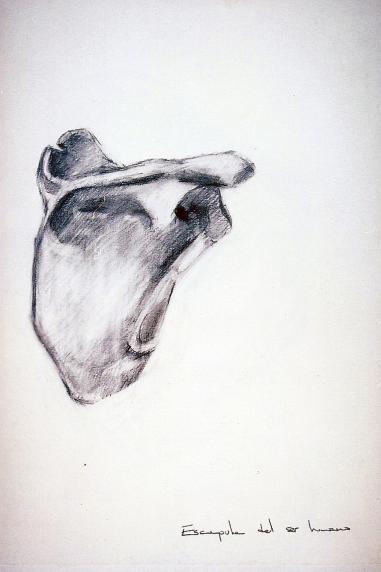 ''Human scapula II'' - Kyriakos Thouki