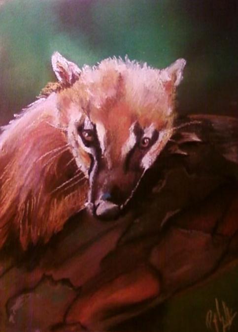 Coati - Tifanie Poglajen