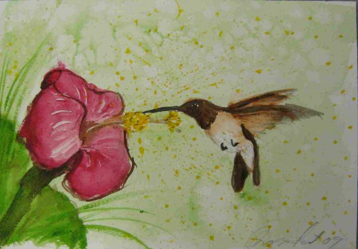 colibri - Guy Roquefort - Cliquer pour afficher en grand