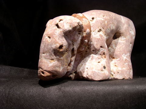 le chien lune - Gérard Collas