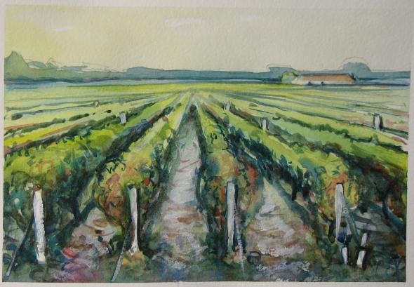 Medoc vines - William Fletcher - Click to enlarge