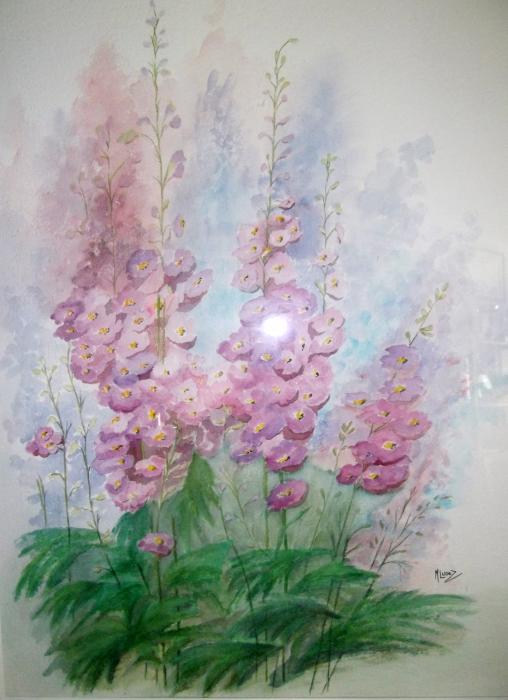 Les delphiniums roses . - Marcelle Lugez