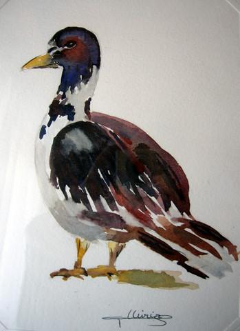 Canard - Michèle Ollivier