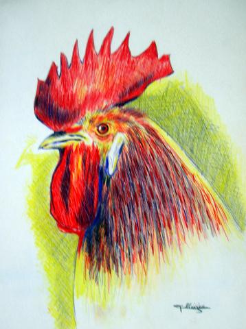 Coq - Michèle Ollivier