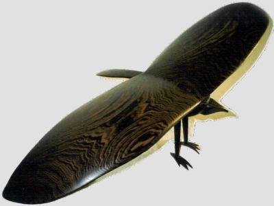 Oiseau - Olivier de Kerckhove