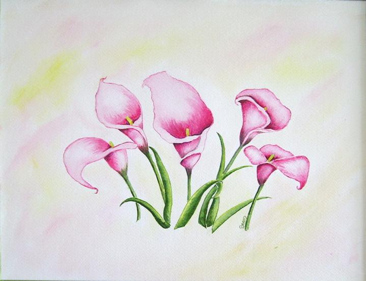 arums roses 2 - Claudine Jean - Click to enlarge