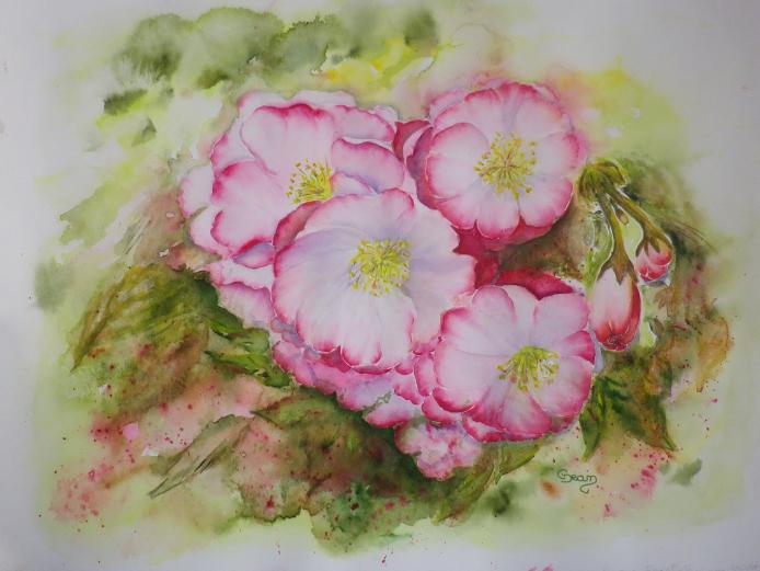 Cerisiers roses - Claudine Jean - Click to enlarge