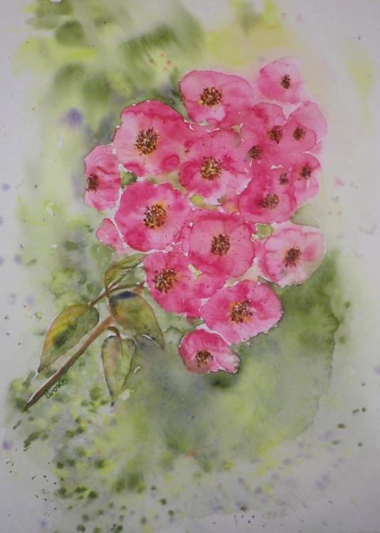 Cerisiers roses 2 - Claudine Jean