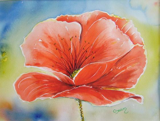 Coquelicot 11 - Claudine Jean