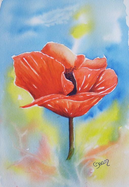 coquelicot 14 - Claudine Jean