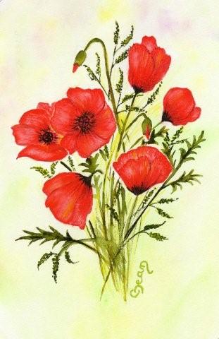 coquelicots 10 - Claudine Jean