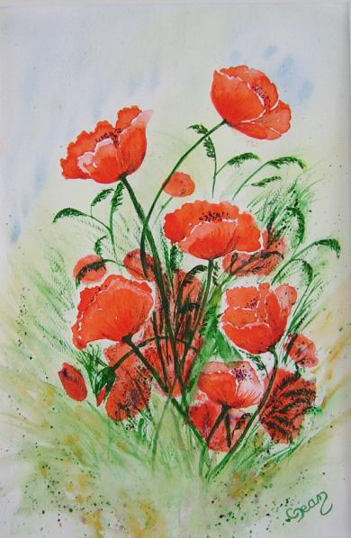 Coquelicots 13 - Claudine Jean