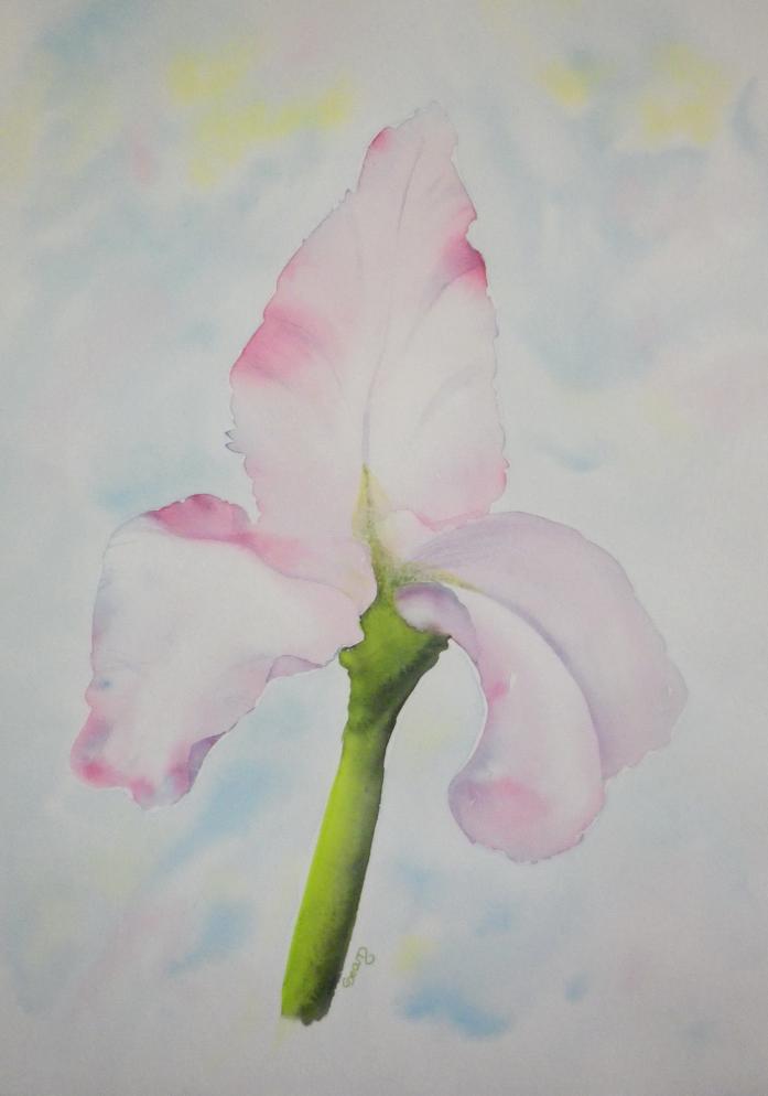 Doux Iris - Claudine Jean - Click to enlarge