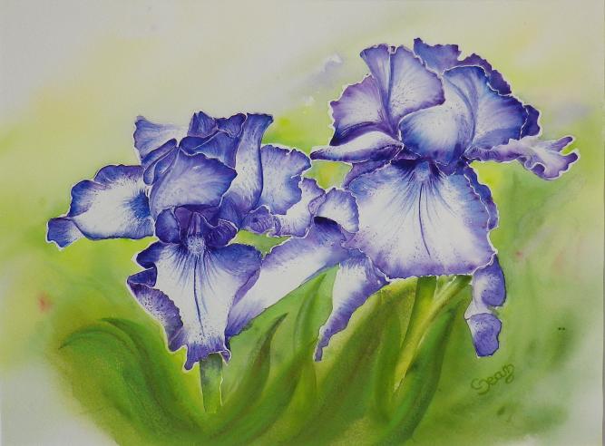 Iris bleus - Claudine Jean - Cliquer pour afficher en grand