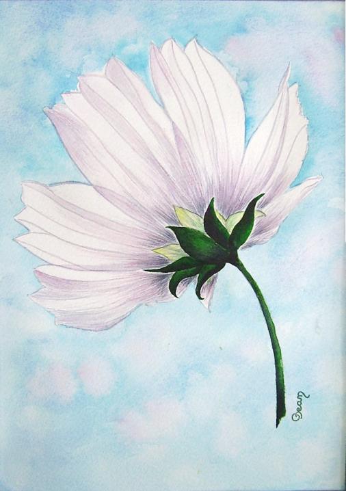 marguerite - Claudine Jean
