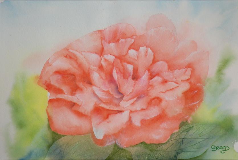 Pivoine écarlate - Claudine Jean - Click to enlarge