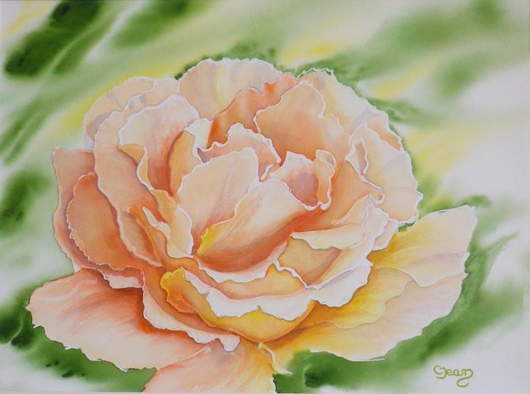 Rose 10 saumon - Claudine Jean - Cliquer pour afficher en grand