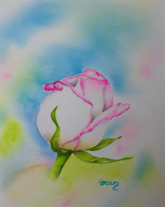 Rose 11 blanche - Claudine Jean