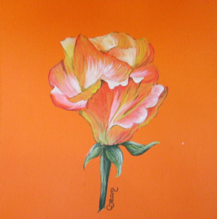 rose 2 - Claudine Jean - Click to enlarge