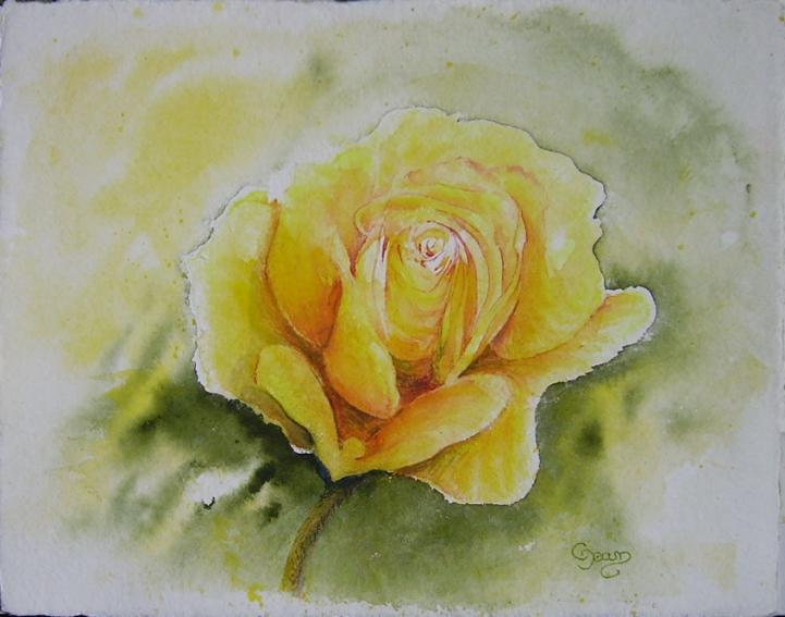 rose 8 - Claudine Jean - Cliquer pour afficher en grand