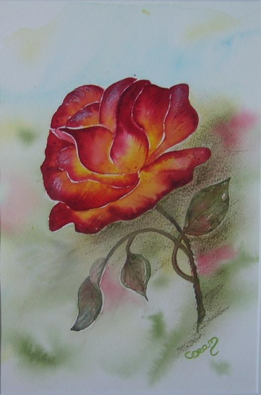 Rose 9 - Claudine Jean