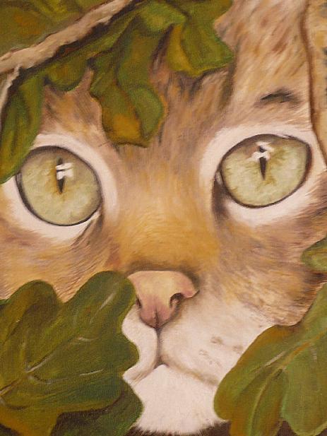 Chat sauvage - Marie Ange Alizard